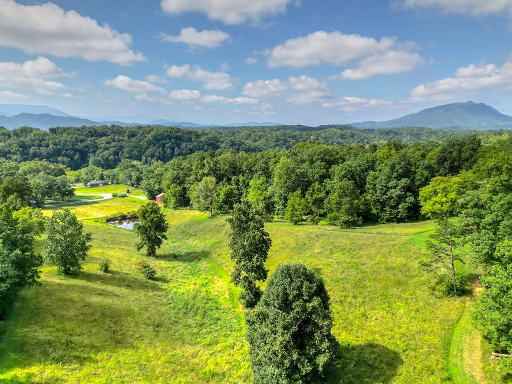 0 Lewelling Road Sevierville, TN 37862 - Photo 10 of 22