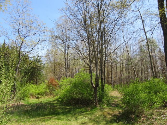 6080 North Merritt Road Merritt, MI 49667 - Photo 23 of 33 1832018-22.JPG