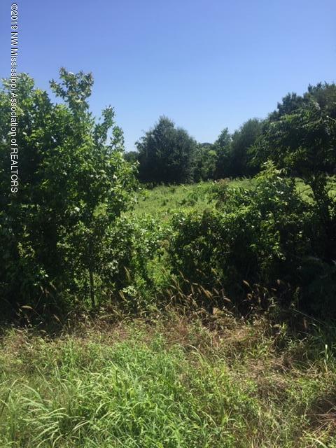 33 Rock Hill Road Sardis, MS 38666 - Photo 2 of 6 IMG_6568