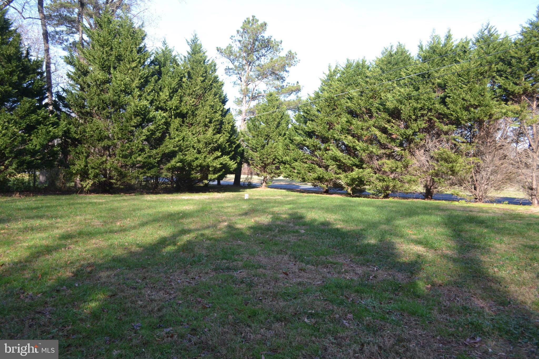 6356 Landing Neck Road Easton, MD 21601 - Photo 20 of 20 A view of the acreage with lovely mature trees.