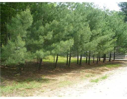 57 Walker Point Road Poland, ME 04274 - Photo 20 of 25 Land/Lot.