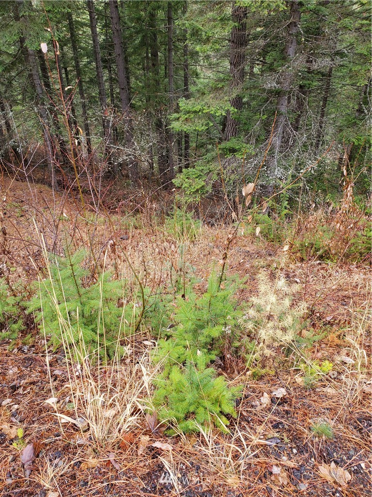 2-lot Fowler Creek Road Cle Elum, WA 98922 - Photo 1 of 1 Gallery Image 1