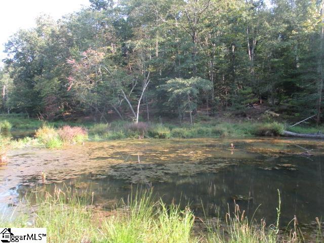 1905 McKelvey Road Fountain Inn, SC 29644 - Photo 3 of 40 Gallery Image 3