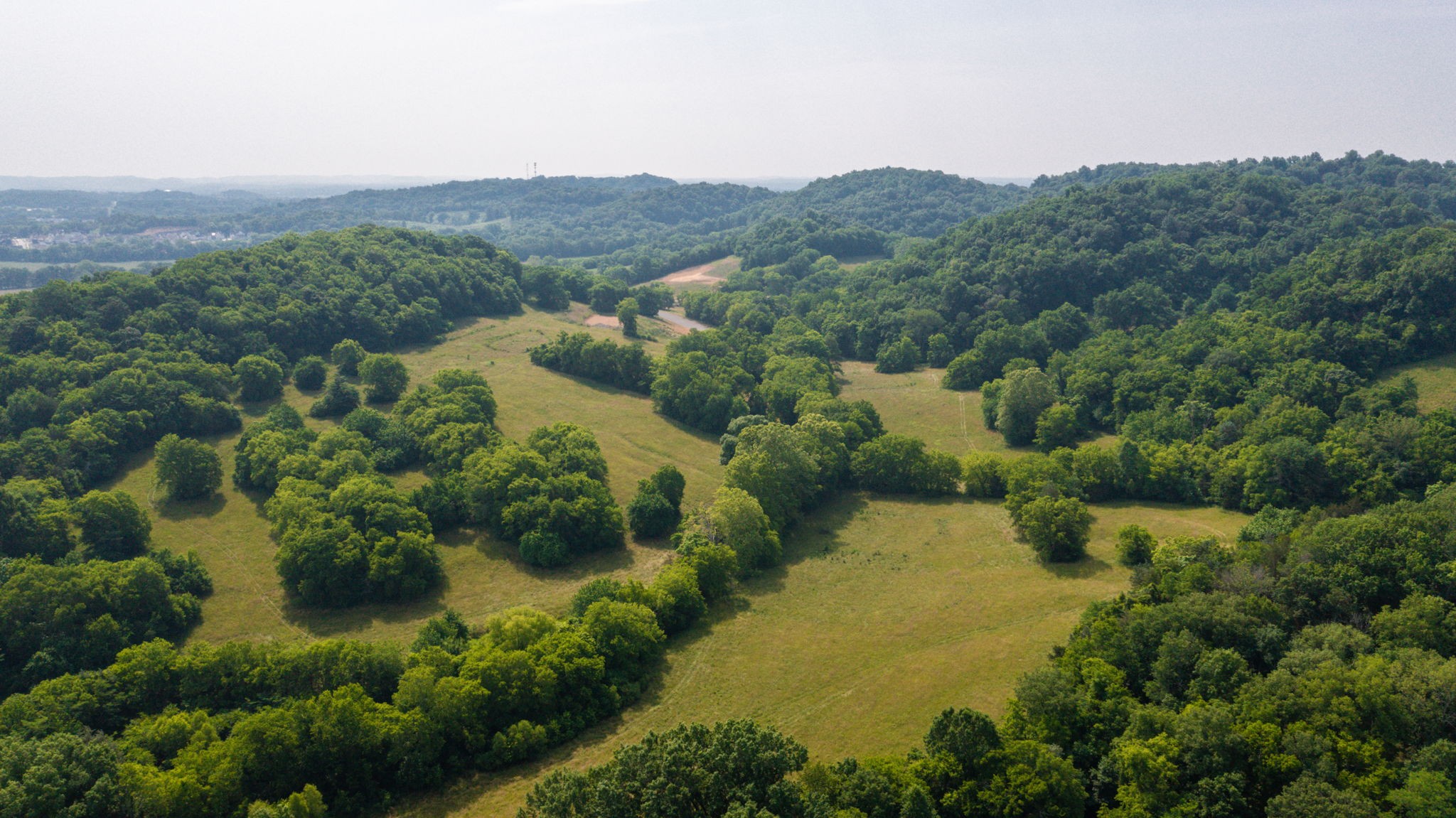 1939 Silver Fox Road Thompson's Station, TN 37179 - Photo 3 of 4