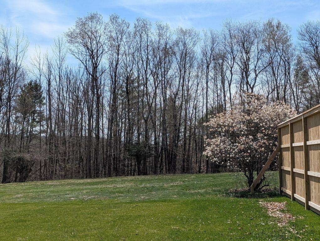 97 Fairview Drive Pittsfield, NH 03263 - Photo 5 of 31