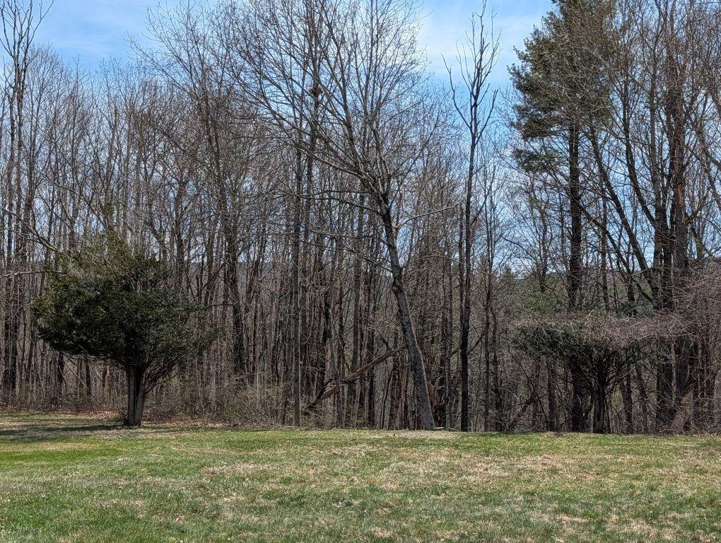 97 Fairview Drive Pittsfield, NH 03263 - Photo 6 of 31