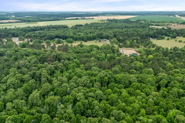 $60,000 | 0 Sylvan Grove Road, Stapleton, GA 30823