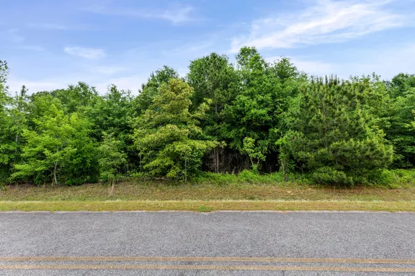 $60,000 | 0 Sylvan Grove Road, Stapleton, GA 30823