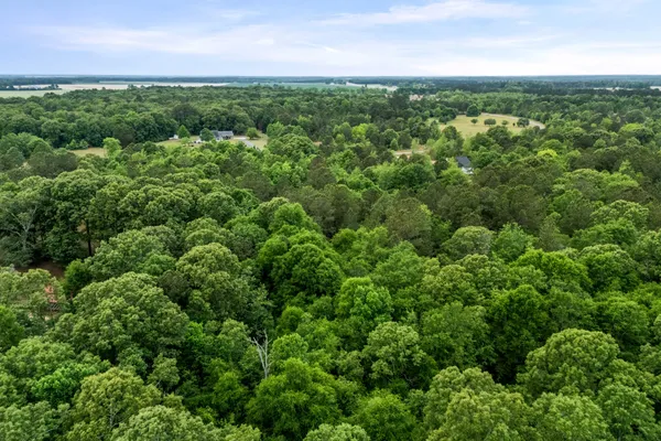 $60,000 | 0 Sylvan Grove Road, Stapleton, GA 30823