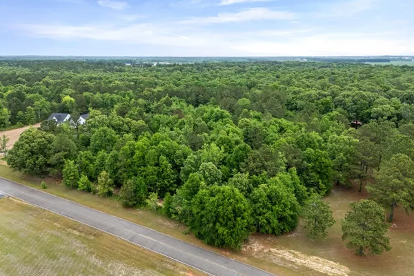 $60,000 | 0 Sylvan Grove Road, Stapleton, GA 30823