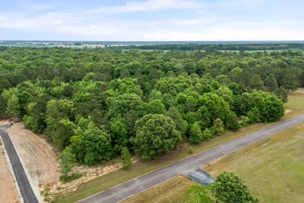 $60,000 | 0 Sylvan Grove Road, Stapleton, GA 30823