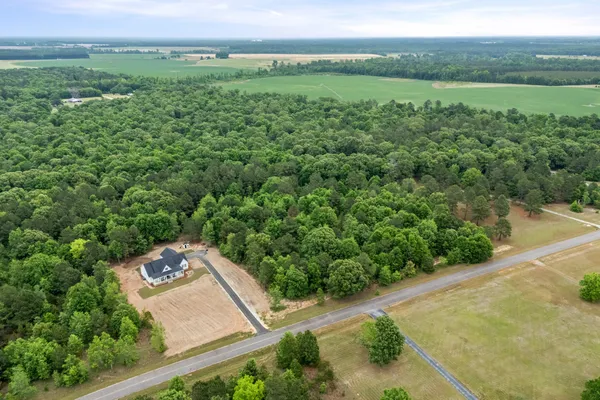 $60,000 | 0 Sylvan Grove Road, Stapleton, GA 30823