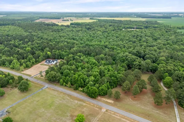 $60,000 | 0 Sylvan Grove Road, Stapleton, GA 30823