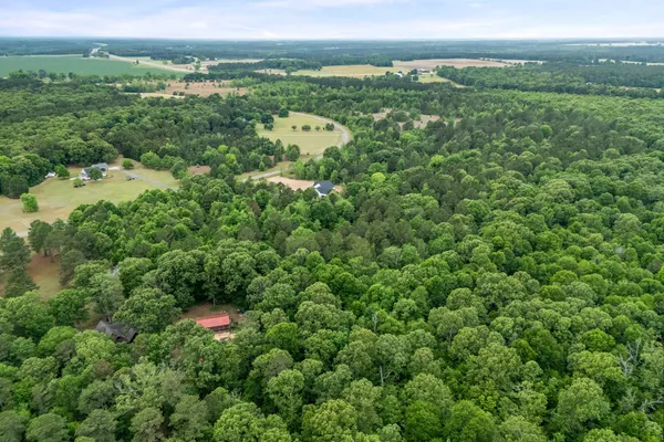 $60,000 | 0 Sylvan Grove Road, Stapleton, GA 30823