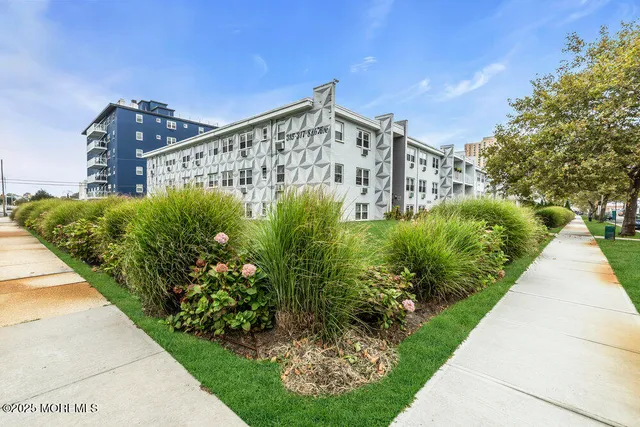 a view of a garden with plants