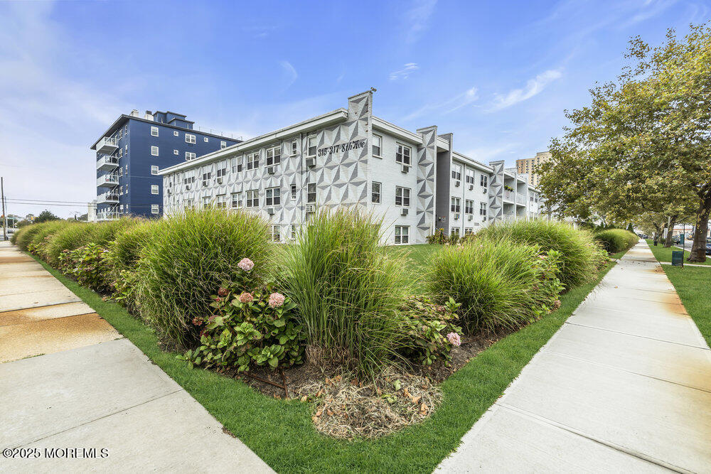 317 8th Avenue, Unit 303 Asbury Park, NJ 07712 - Photo 15 of 15 a view of a garden with plants