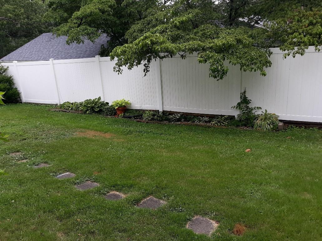 120 Meadow Road Oak Ridge, TN 37830 - Photo 22 of 27 Back Yard