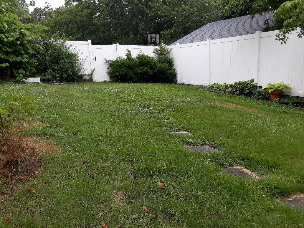 120 Meadow Road Oak Ridge, TN 37830 - Photo 23 of 27 Back Yard