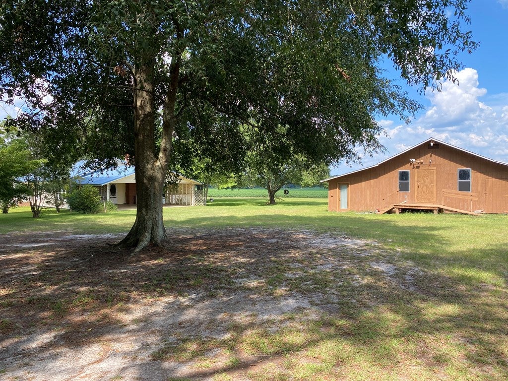 790 Brookfield Turner Church Road Enigma, GA 31749 - Photo 4 of 42 Gallery Image 4