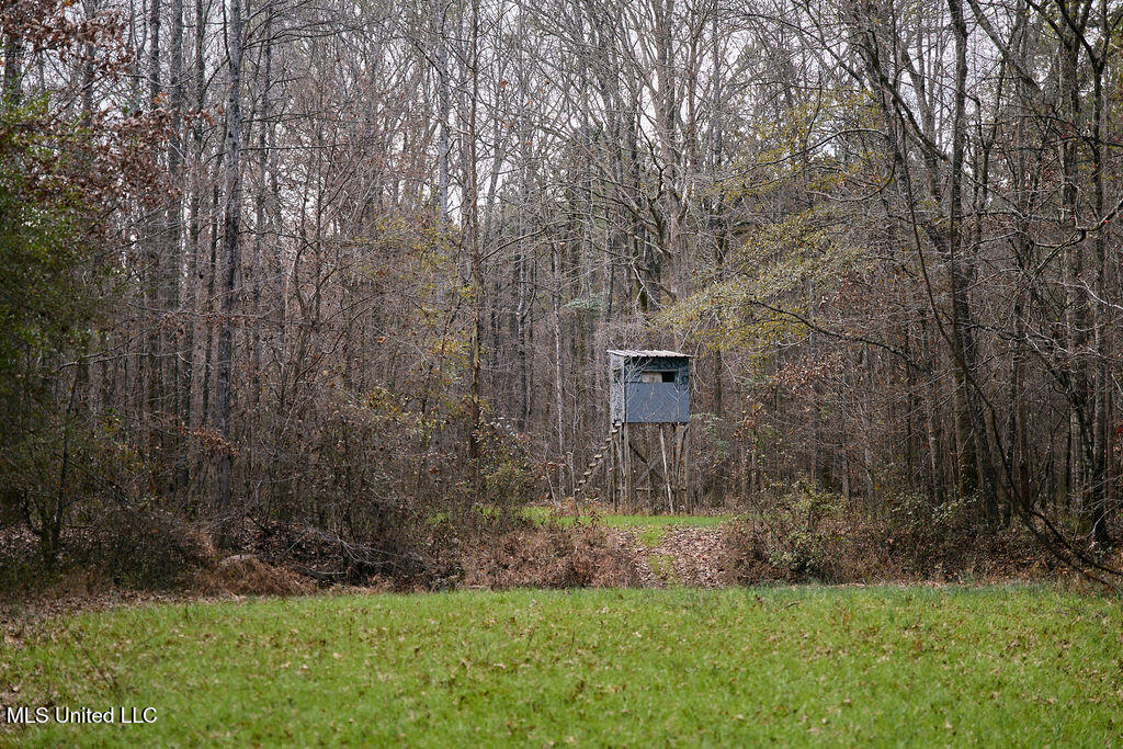 Food Plot
