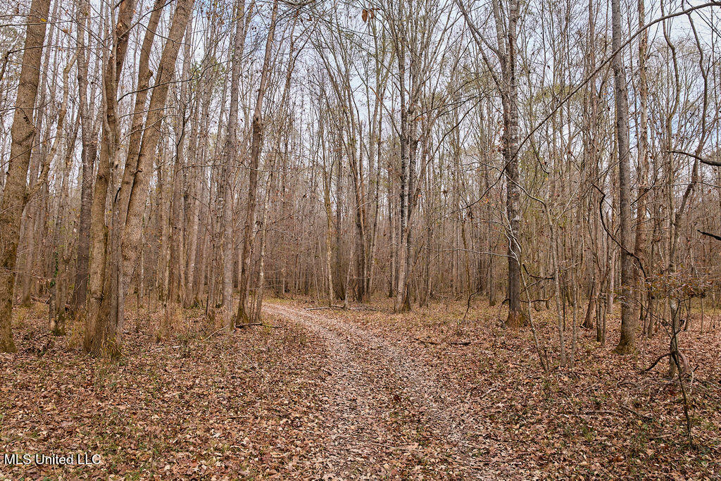 0 Maddox Road Mathiston, MS 39752 - Photo 18 of 37 P1188315
