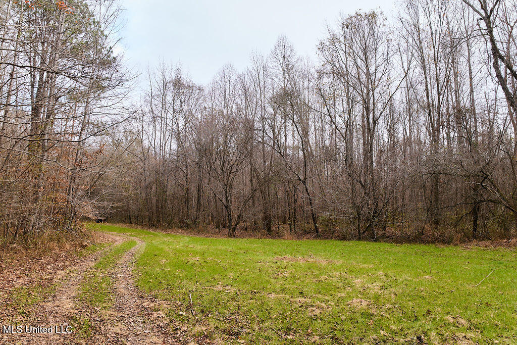 0 Maddox Road Mathiston, MS 39752 - Photo 19 of 37 P1188318
