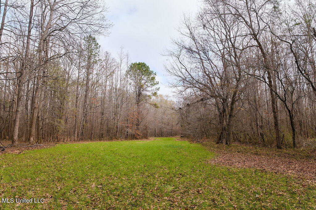 0 Maddox Road Mathiston, MS 39752 - Photo 20 of 37 P1188320