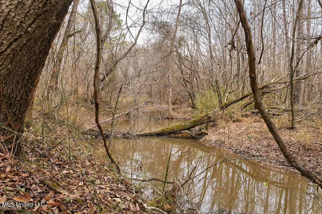 0 Maddox Road Mathiston, MS 39752 - Photo 21 of 37 P1188321