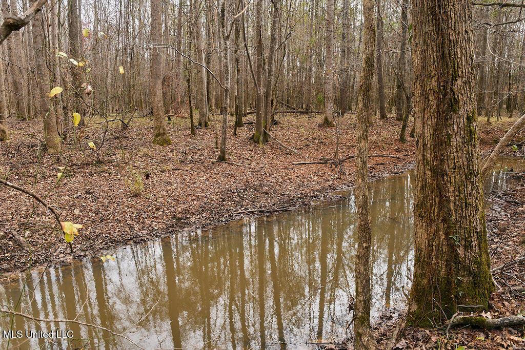 0 Maddox Road Mathiston, MS 39752 - Photo 22 of 37 P1188322