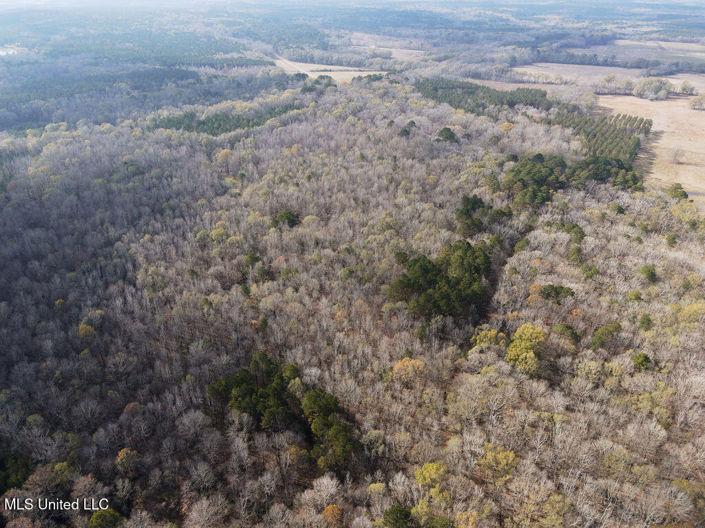 0 Maddox Road Mathiston, MS 39752 - Photo 26 of 37 dji_fly_20251209_112146_815_176530159878