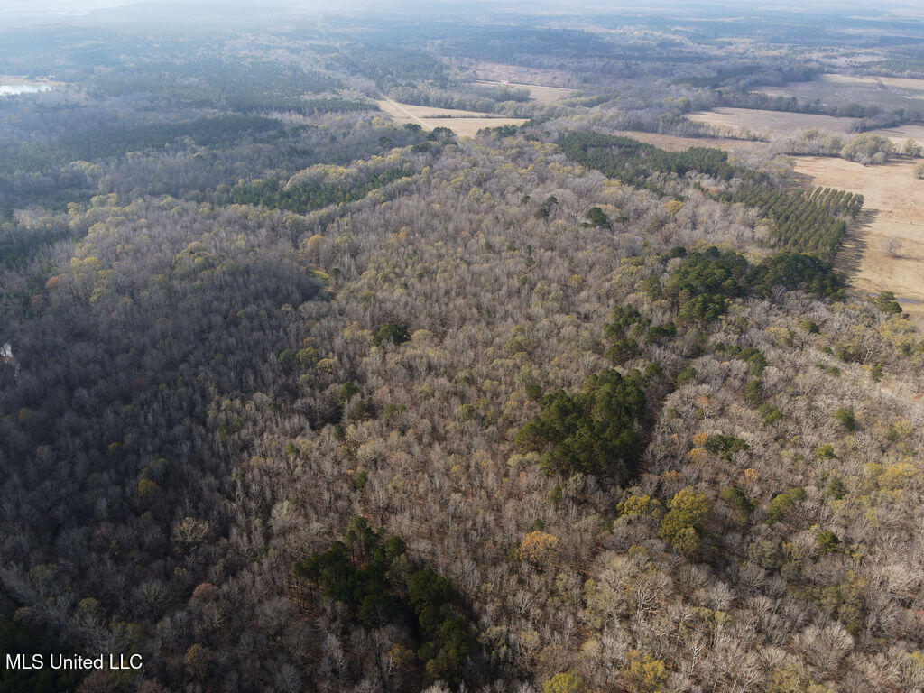 0 Maddox Road Mathiston, MS 39752 - Photo 27 of 37 dji_fly_20251209_112202_816_176530159429