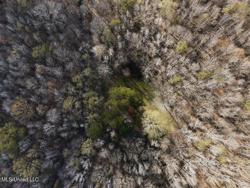 0 Maddox Road Mathiston, MS 39752 - Photo 29 of 37 dji_fly_20251209_112346_818_176530156463