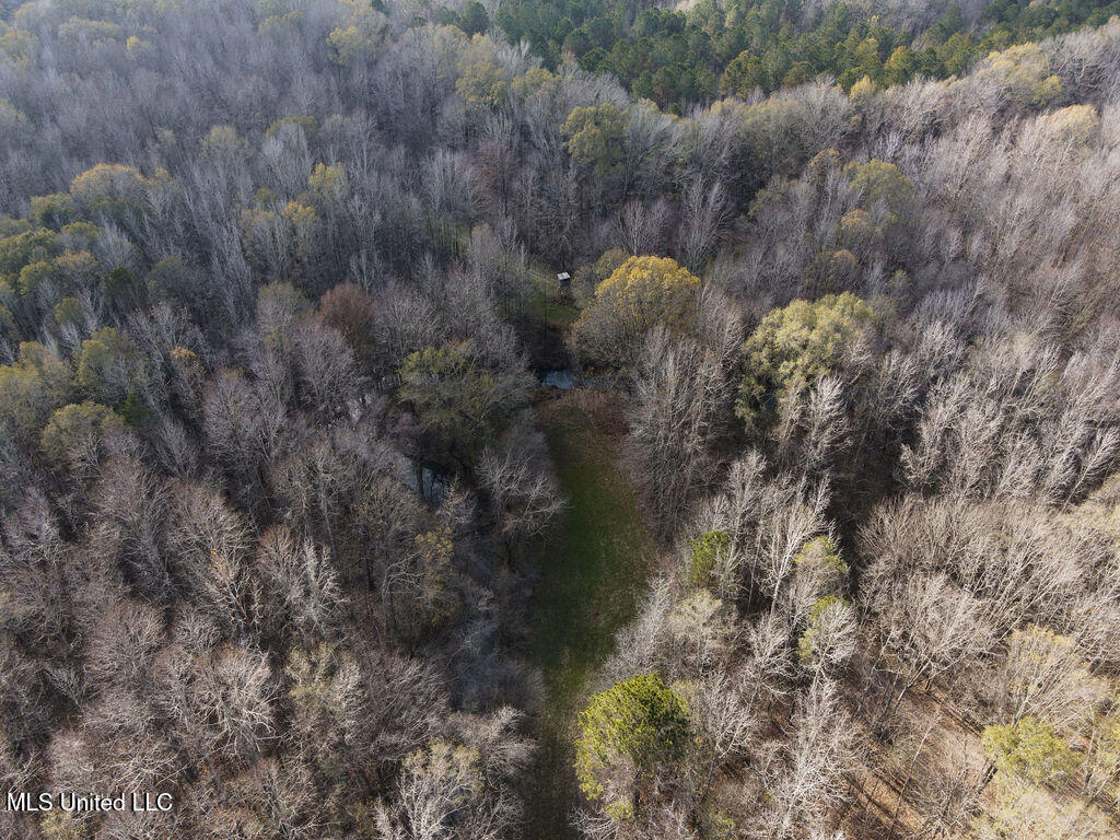 0 Maddox Road Mathiston, MS 39752 - Photo 30 of 37 dji_fly_20251209_112426_819_176530156975