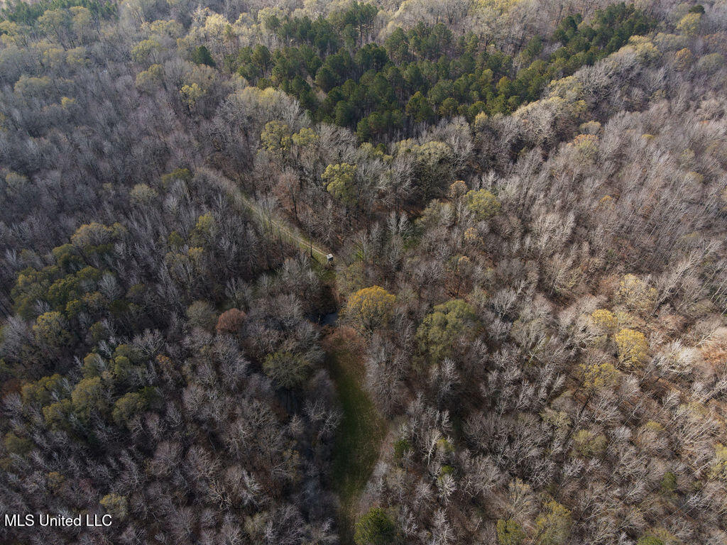 0 Maddox Road Mathiston, MS 39752 - Photo 31 of 37 dji_fly_20251209_112458_820_176530157469