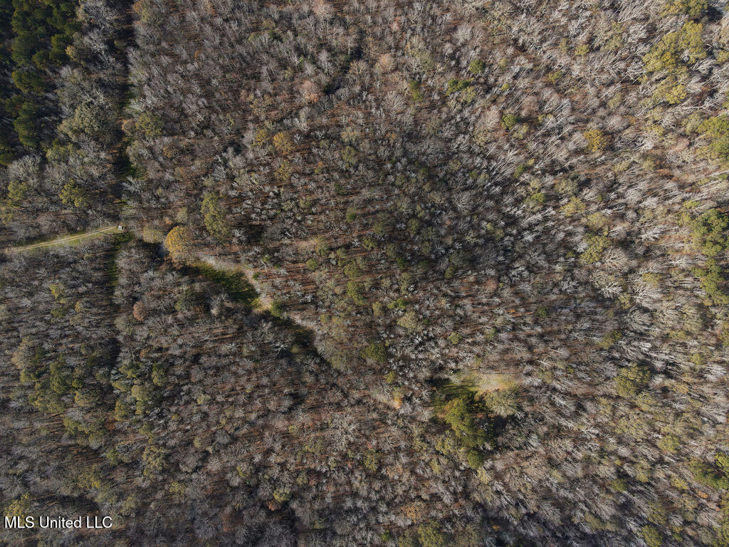 0 Maddox Road Mathiston, MS 39752 - Photo 32 of 37 dji_fly_20251209_112648_821_176530157993