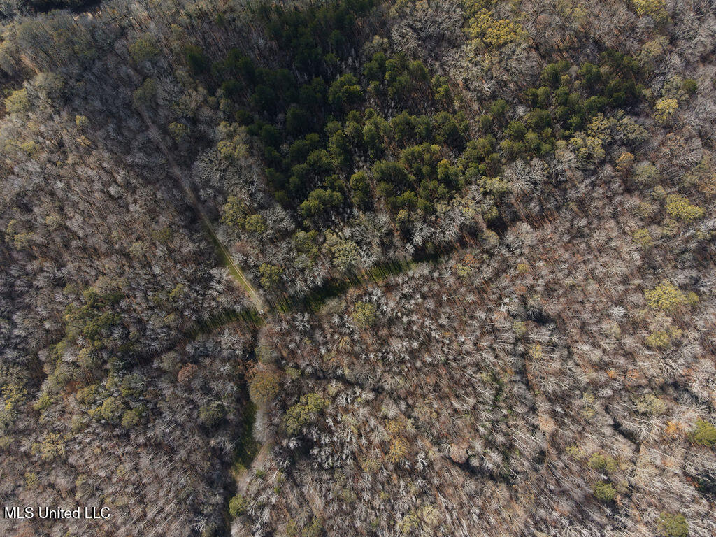 0 Maddox Road Mathiston, MS 39752 - Photo 33 of 37 dji_fly_20251209_112744_822_176530158509