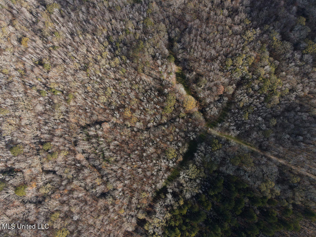 0 Maddox Road Mathiston, MS 39752 - Photo 34 of 37 dji_fly_20251209_112804_823_176530155923