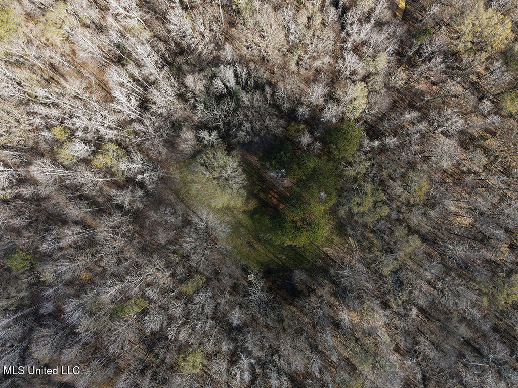 0 Maddox Road Mathiston, MS 39752 - Photo 35 of 37 dji_fly_20251209_112926_825_176530154918