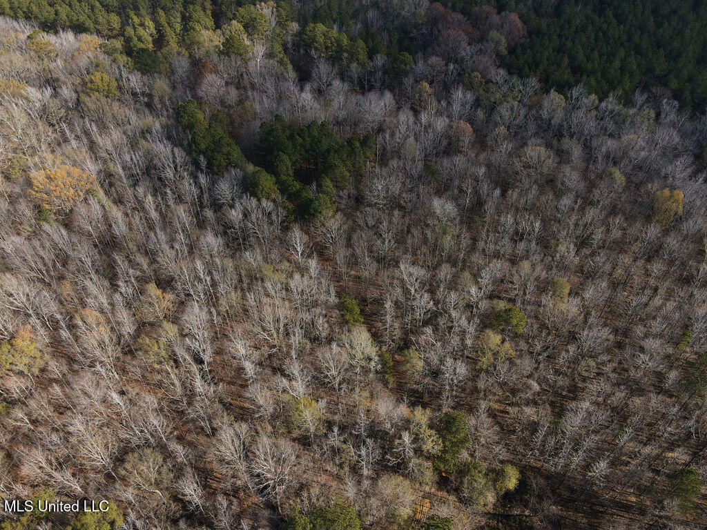 0 Maddox Road Mathiston, MS 39752 - Photo 36 of 37 dji_fly_20251209_112948_826_176530154362