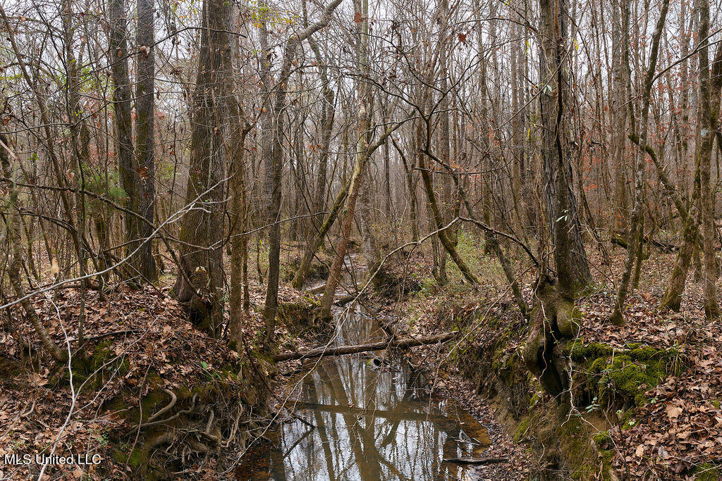 0 Maddox Road Mathiston, MS 39752 - Photo 4 of 37 P1188257
