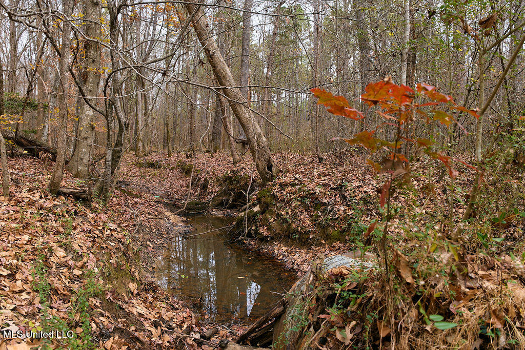 0 Maddox Road Mathiston, MS 39752 - Photo 5 of 37 P1188259