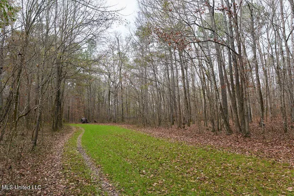 $160,000 | 0 Maddox Road, Mathiston, MS 39752