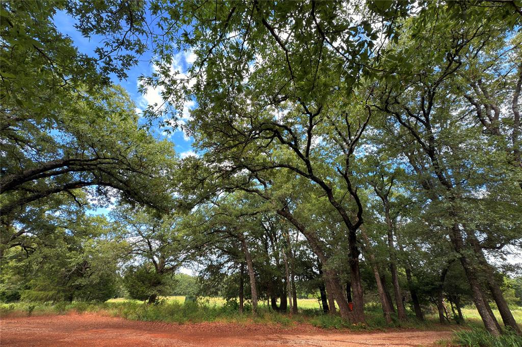 9213 Scenic Drive Pilot Point, TX 76258 - Photo 13 of 39