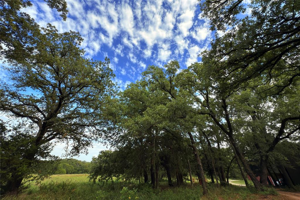 9213 Scenic Drive Pilot Point, TX 76258 - Photo 14 of 39