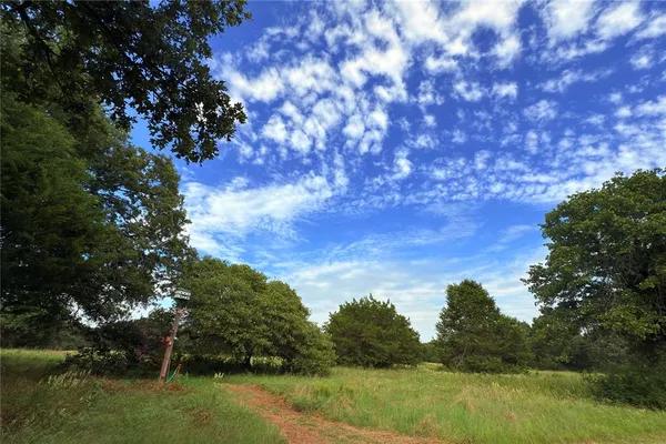 a view of a back yard