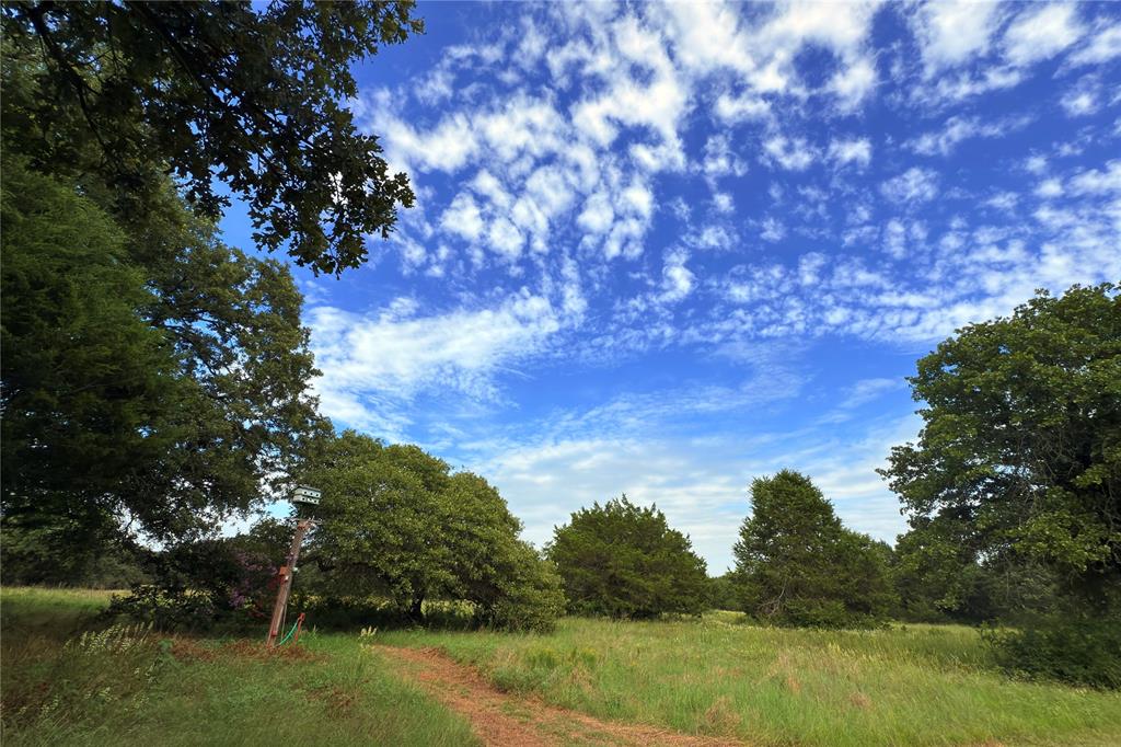 9213 Scenic Drive Pilot Point, TX 76258 - Photo 15 of 39