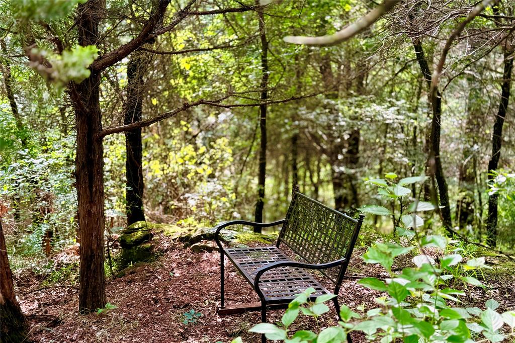 9213 Scenic Drive Pilot Point, TX 76258 - Photo 17 of 39