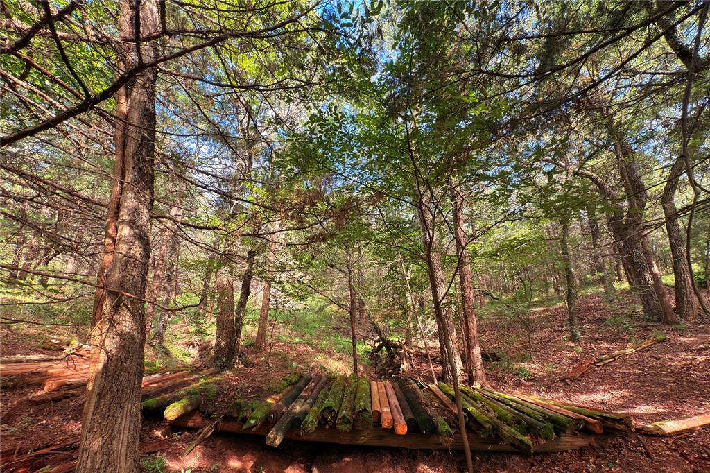 9213 Scenic Drive Pilot Point, TX 76258 - Photo 18 of 39