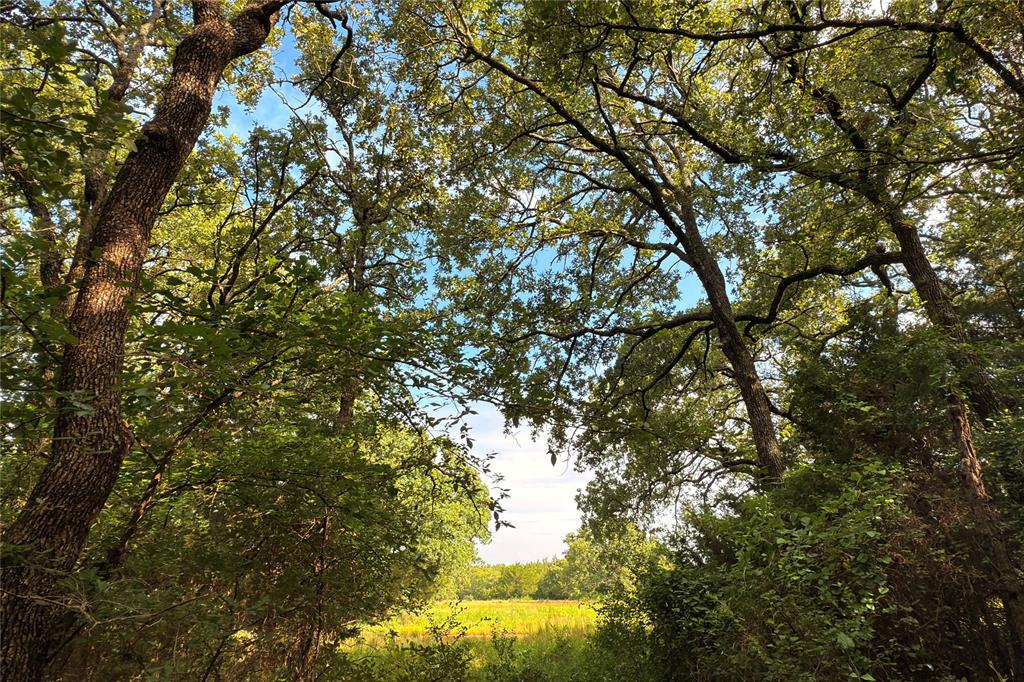 9213 Scenic Drive Pilot Point, TX 76258 - Photo 19 of 39