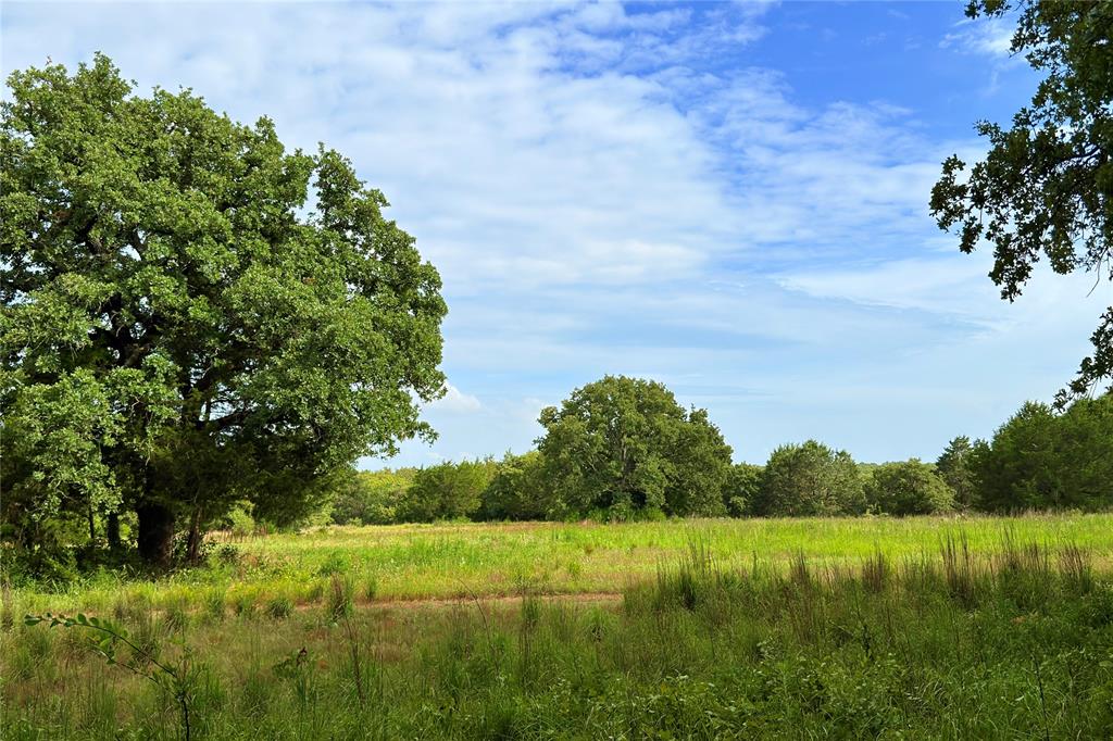 9213 Scenic Drive Pilot Point, TX 76258 - Photo 20 of 39